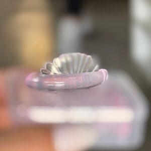 Bigudies Zaphiria shell rosa